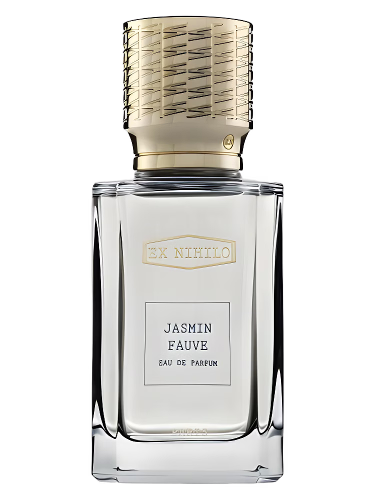 Jasmin Fauve