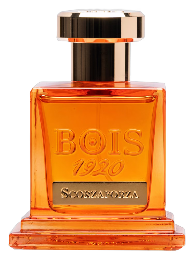 Scorzaforza