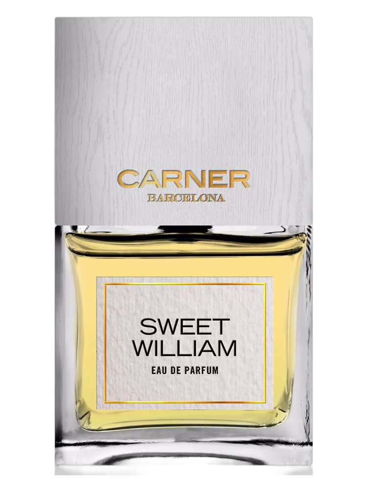 Sweet William