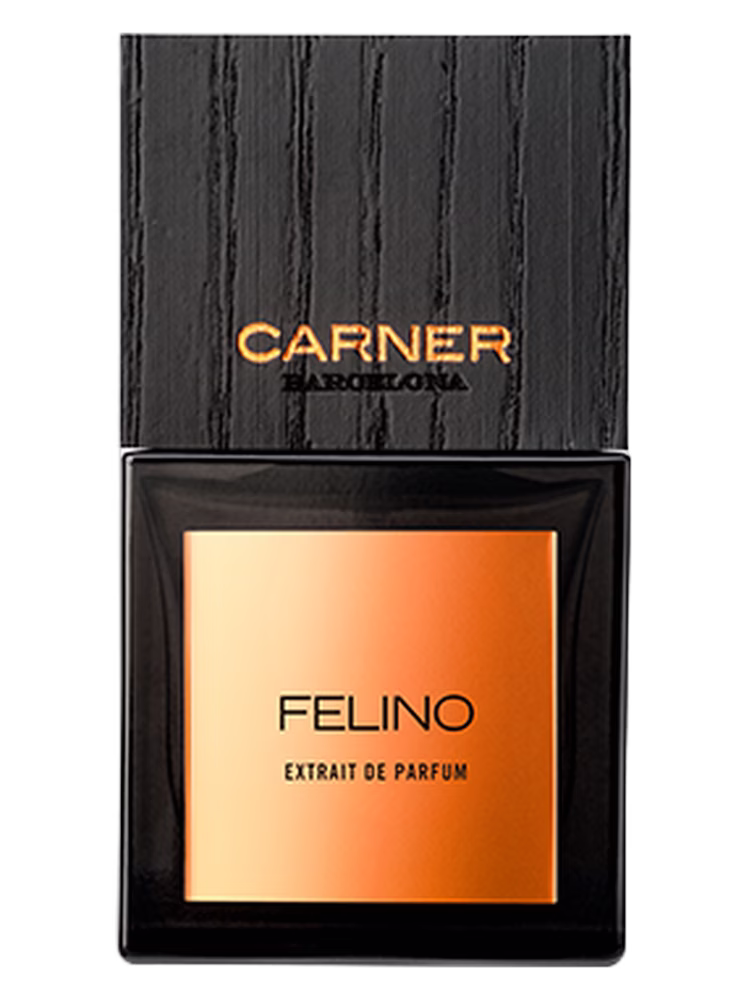 Felino