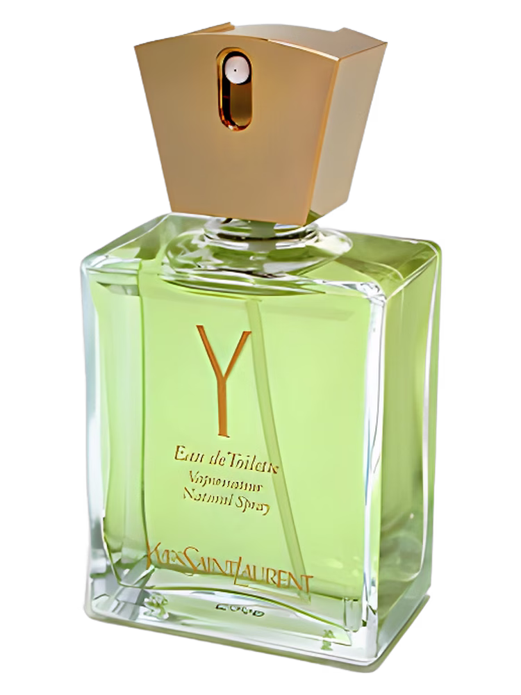YSL Y