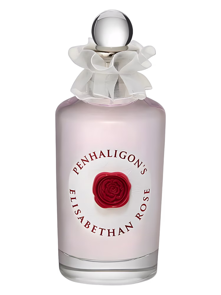 Elisabethan Rose