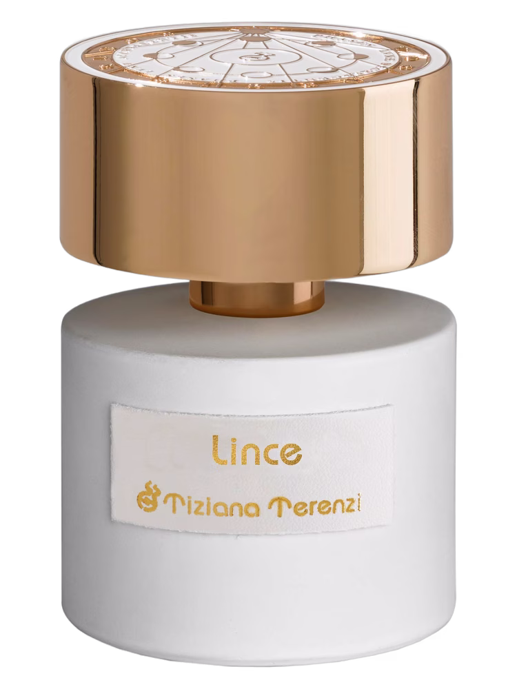 Lince